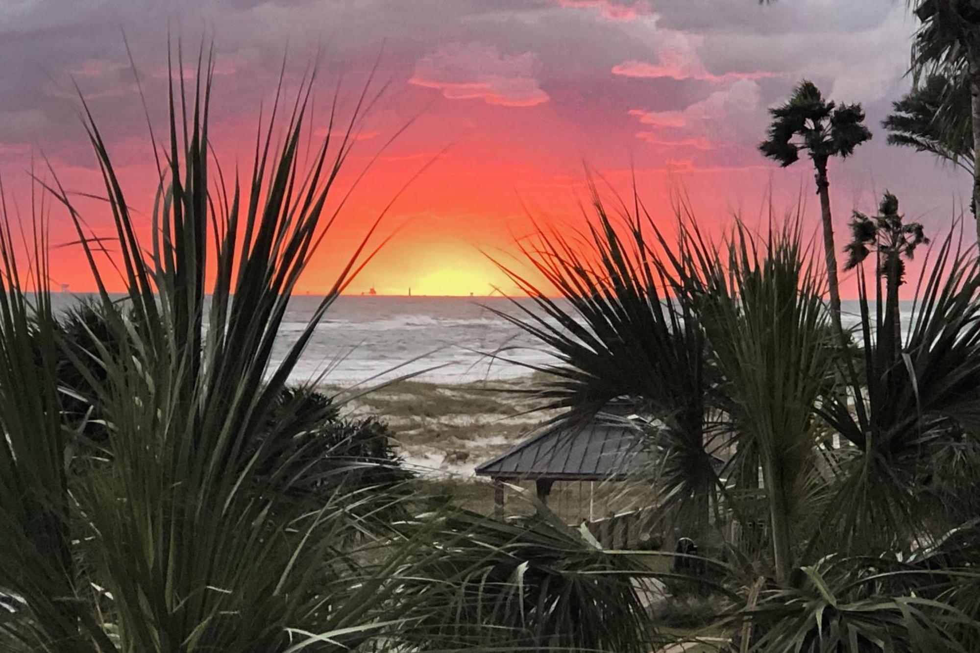 The Beach Club Catalina 306 Gulf Shores Exteriör bild